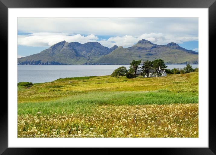 Isle of Eigg, Summer Flowers, Small Isles Scotland Framed Mounted Print by Barbara Jones