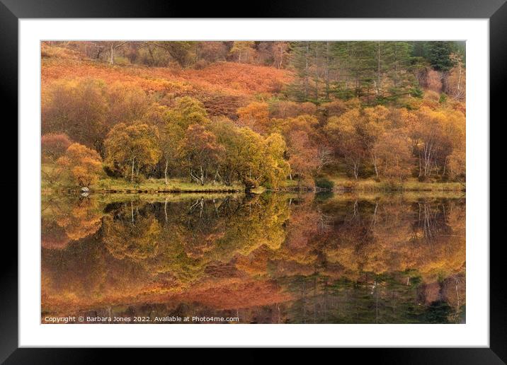 Highland Lochan, Autumn Colours, Scotland. Framed Mounted Print by Barbara Jones