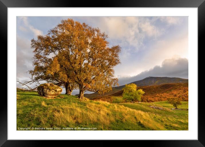 Schiehallion, Autumn Scene, Tullochroisk Scotland. Framed Mounted Print by Barbara Jones