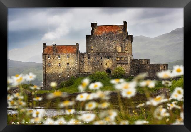 Eilean Donan Castle and  Summer Flowers, Scotland. Framed Print by Barbara Jones