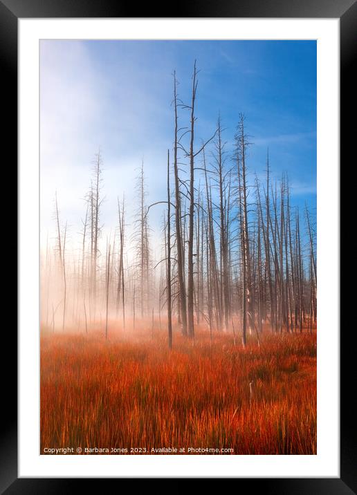 Misty Sunrise Yellowstone NP, USA. Framed Mounted Print by Barbara Jones