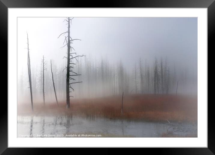 Misty Moments, Yellowstone USA Framed Mounted Print by Barbara Jones