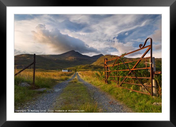 Isle of Mull Ben More Summer Evening  Scotland Framed Mounted Print by Barbara Jones