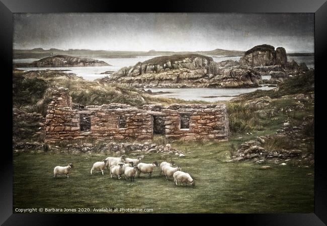 Blackhouse Ruin Kintra Isle of Mull   Framed Print by Barbara Jones