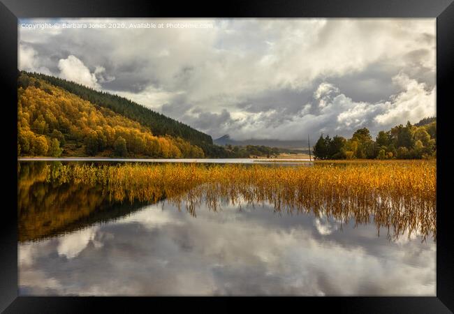Loch Pityoulish in Autumn, Cairngorms Scotland Framed Print by Barbara Jones
