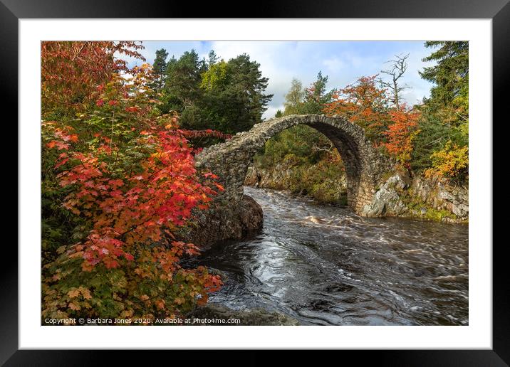 Carrbridge  in Autumn Cairngorms NP  Scotland Framed Mounted Print by Barbara Jones