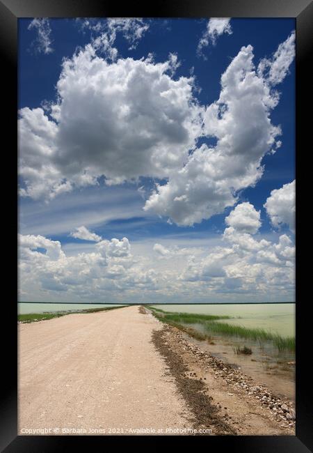 Etosha NP, Namibia, Africa. Fischers Salt Pan  Framed Print by Barbara Jones