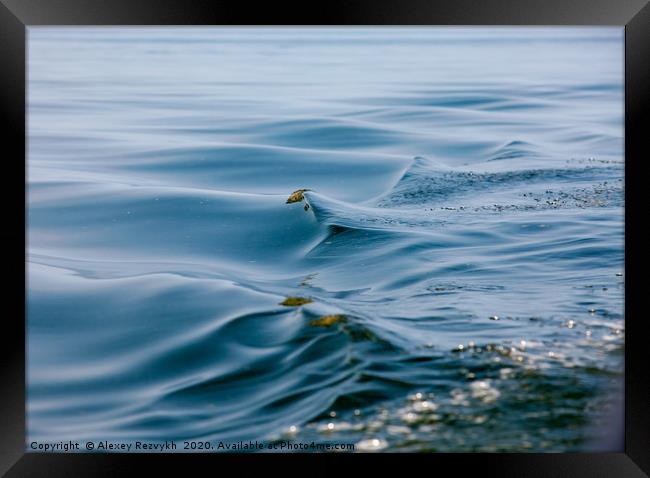 Beautiful water waves. Baltic Sea. Framed Print by Alexey Rezvykh