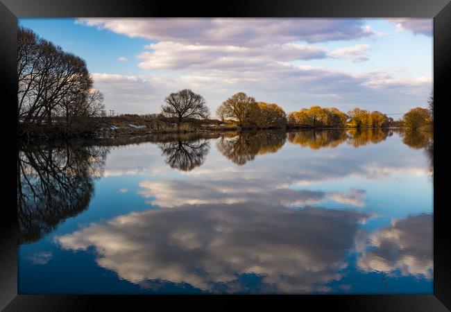 Symmetry. Spring in Moscow region. Framed Print by Alexey Rezvykh