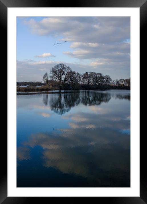 Migrating birds. Reflection. Framed Mounted Print by Alexey Rezvykh