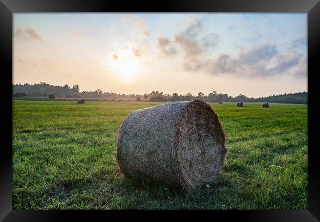 Haystack rolls on field in sunset light. Framed Print by Alexey Rezvykh