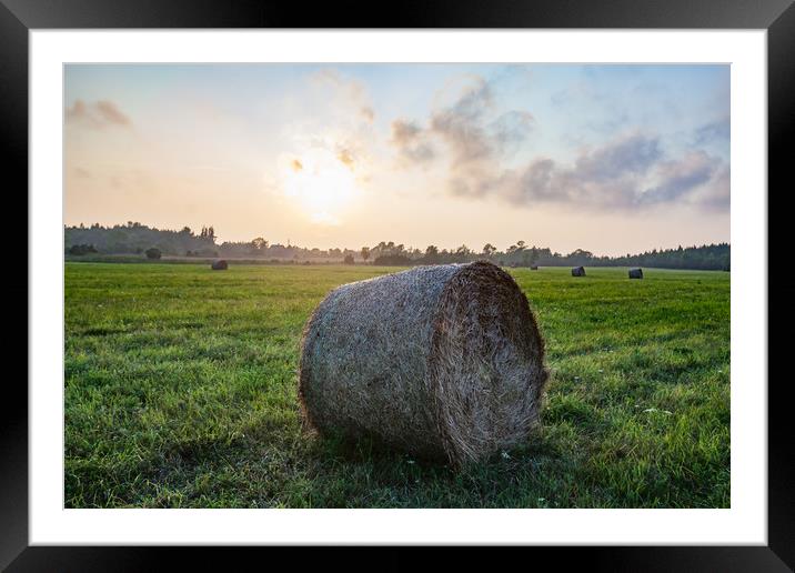 Haystack rolls on field in sunset light. Framed Mounted Print by Alexey Rezvykh