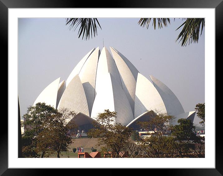 The Lotus Temple, Delhi  Framed Mounted Print by Ankit Mahindroo