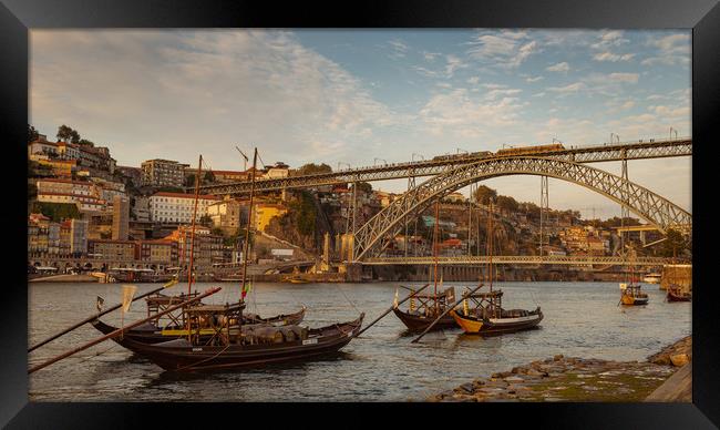Golden Hour Porto Framed Print by Steven Lennie