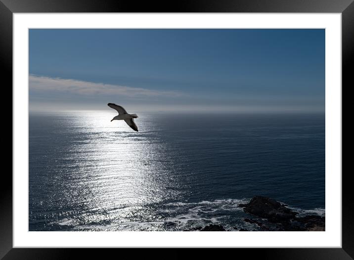 The Seagull  Framed Mounted Print by Scott Ian Thomson