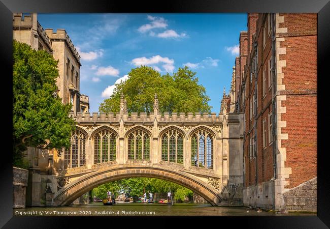 Punting on the River Cam Framed Print by Viv Thompson