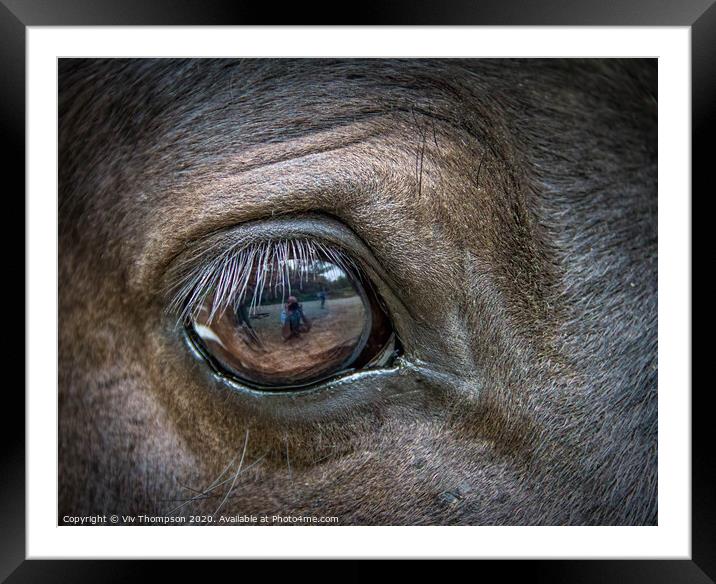 Eye of the Beholder Framed Mounted Print by Viv Thompson
