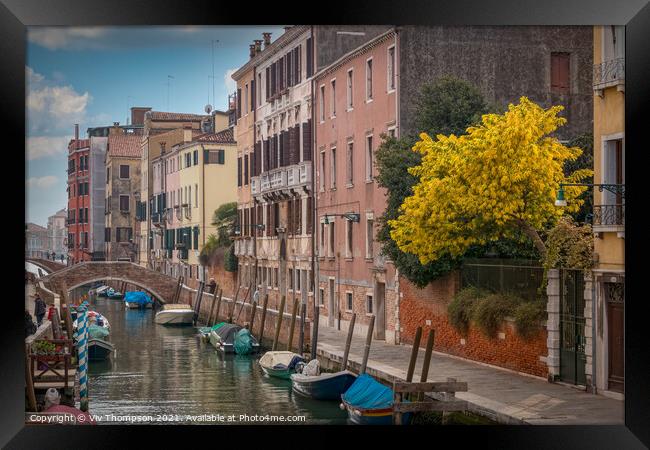 Springtime in Venice Framed Print by Viv Thompson