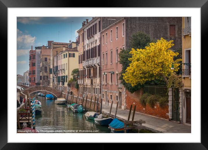 Springtime in Venice Framed Mounted Print by Viv Thompson