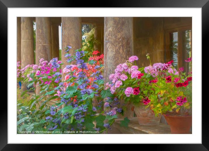 Pillars and Pelargoniums Framed Mounted Print by Viv Thompson