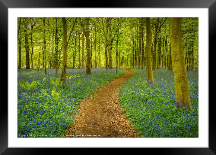 A Walk in the Woods Framed Mounted Print by Viv Thompson