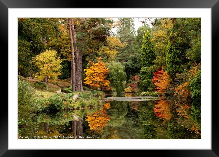 Autumn glory. Framed Mounted Print by Paul Clifton