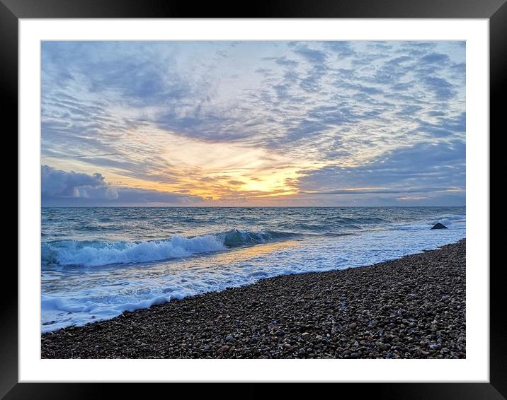 Solar Bear Framed Mounted Print by Shoot Creek