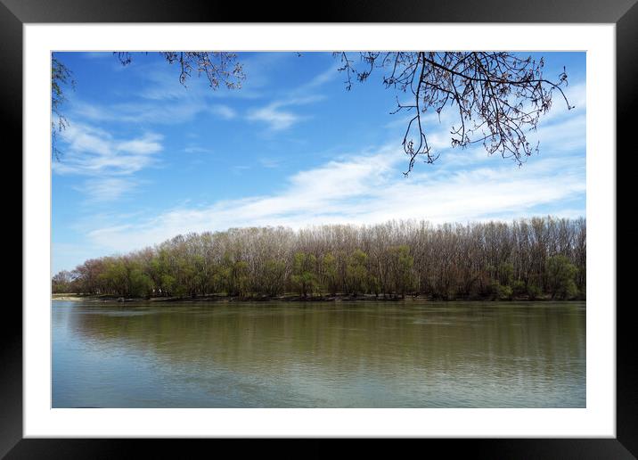 Spring in April on the Borcea arm Framed Mounted Print by liviu iordache
