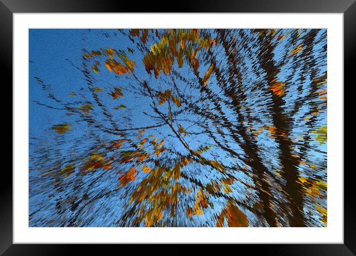 Late autumn with colorful leaves Framed Mounted Print by liviu iordache