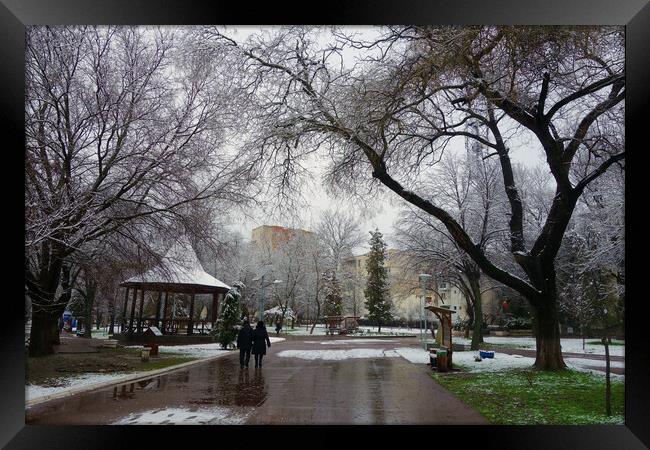 Winter in the park of Calarasi Framed Print by liviu iordache