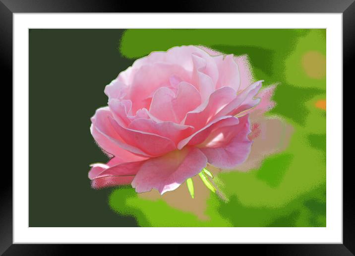 The pink rose  Framed Mounted Print by liviu iordache