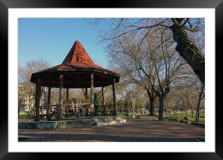 Wooden pavilion Framed Mounted Print by liviu iordache