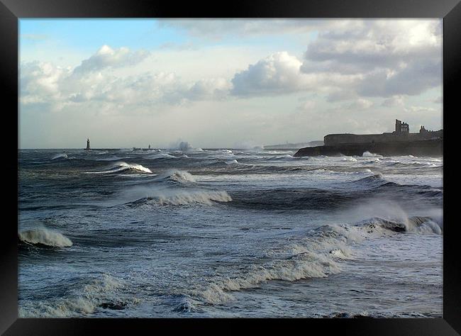 Coast - Tynemouth big sea running  Framed Print by David Turnbull