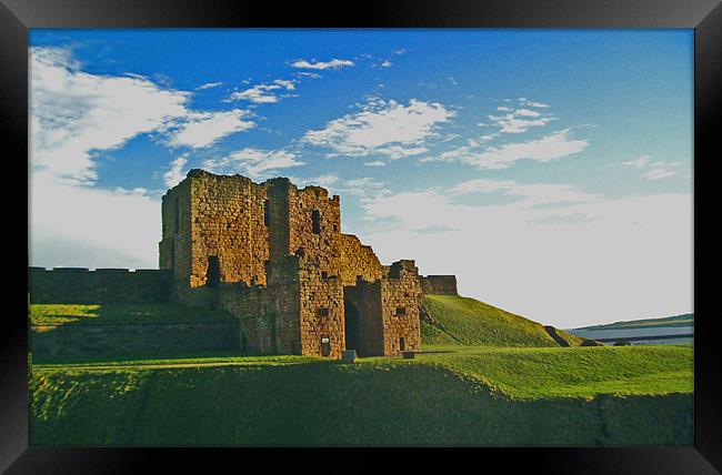 Coast - Tynemouth castle eveing light.  Framed Print by David Turnbull