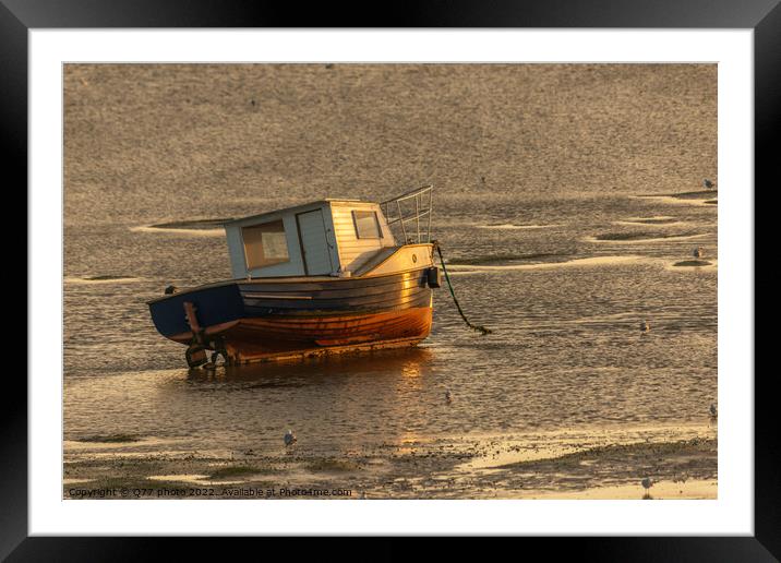 Moored boat illuminated by the rays of the setting sun on the shoal during low tide Framed Mounted Print by Q77 photo