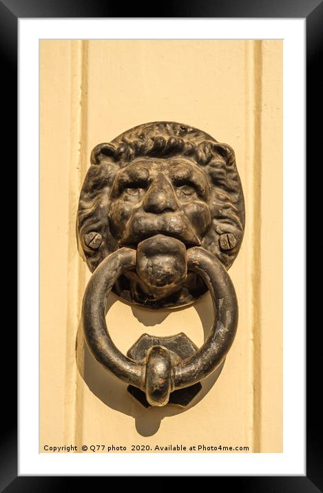 Door with brass knocker in the shape of a lion's h Framed Mounted Print by Q77 photo