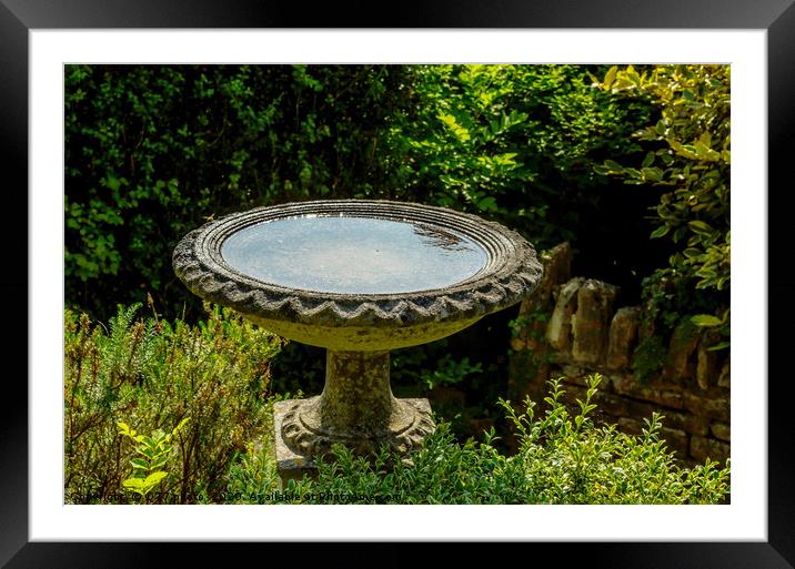 Beautiful park in antique style, stone decorations Framed Mounted Print by Q77 photo