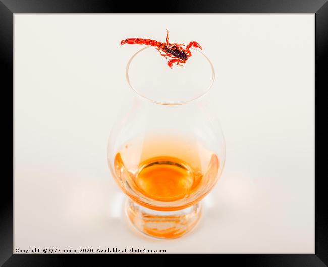 single malt tasting glass with scorpion, single ma Framed Print by Q77 photo