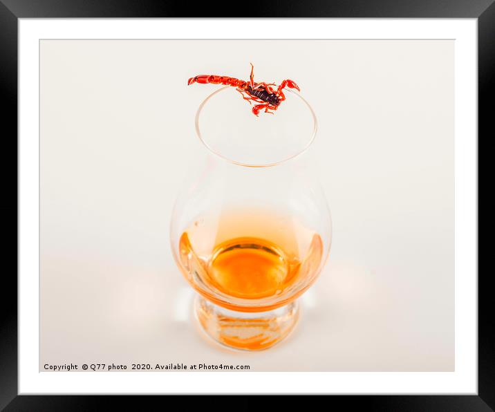 single malt tasting glass with scorpion, single ma Framed Mounted Print by Q77 photo