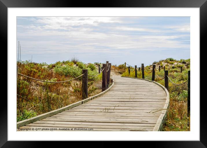 wooden boardwalk in the dunes leading to the sandy beach, the path by the sea, plants on the dunes Framed Mounted Print by Q77 photo