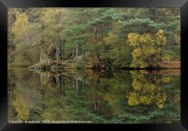 Aspects Of Autumn Framed Print by andy lea