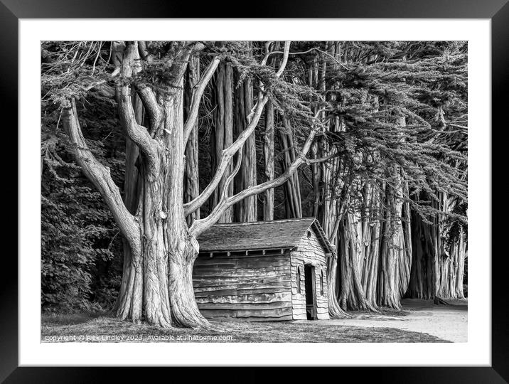 The Tree House Framed Mounted Print by Rick Lindley