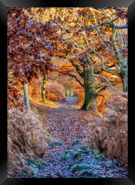 Autumn in Conwy Framed Print by Rick Lindley