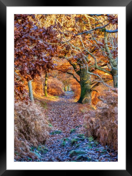 Autumn in Conwy Framed Mounted Print by Rick Lindley