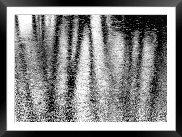 Reflection Framed Mounted Print by Rick Lindley