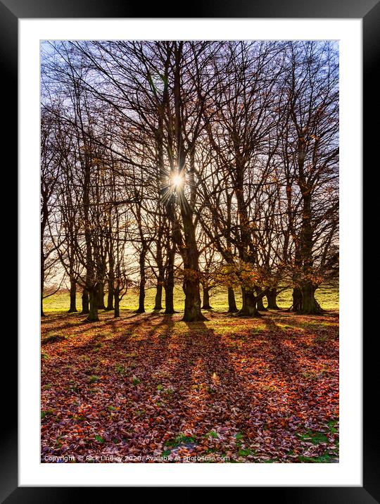 Autumn Sun Framed Mounted Print by Rick Lindley