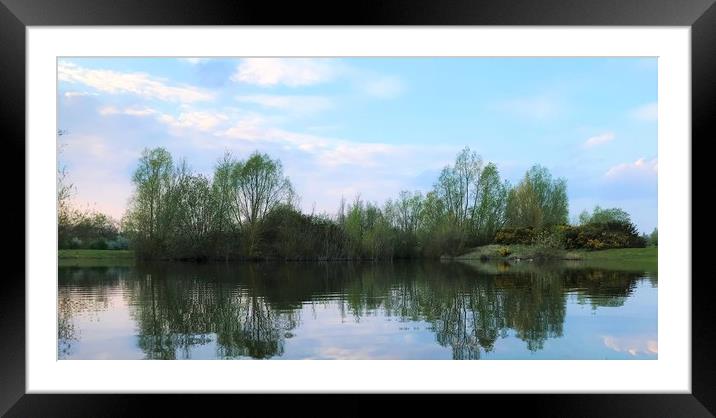 Trees over Spring lake  Framed Mounted Print by George Anthony