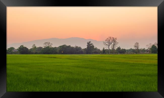 Mountain Sunset Warm Glow Chiang Mai Thailand Framed Print by Rowan Edmonds
