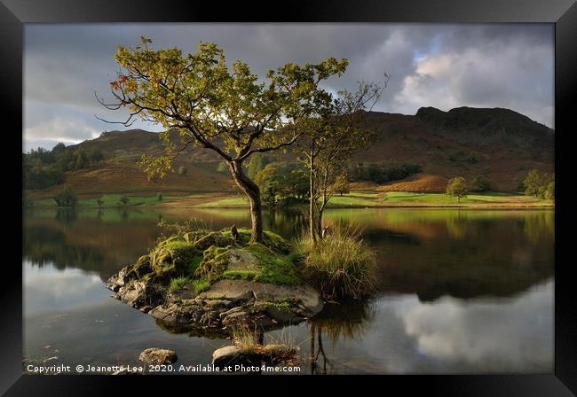 The Passage Of Light Framed Print by Jeanette Lea