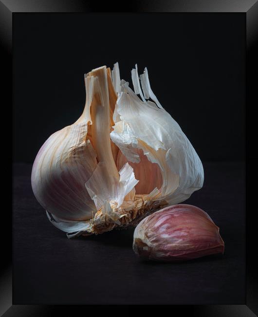 Majestic Garlic on Dark Background Still Life Framed Print by Ioan Decean